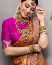 Elegant Hansika Motwani in a Pink and Orange Saree Pictures 02