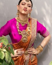 Elegant Hansika Motwani in a Pink and Orange Saree Pictures 04