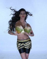 Glamour Model Poonam Pandey Hot Photoshoot Stills