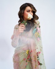 Graceful Hansika Motwani in a Pastel Green Floral Embroidered Saree with a Matching Full Sleeve Blouse Photos 07