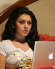 Hansika Motwani Sexy Stills