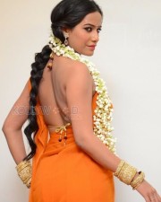 Hot Poonam Pandey Saree Pictures