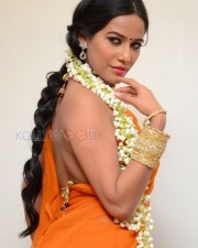 Hot Poonam Pandey Saree Pictures