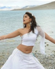 Ileana Sexy Photos