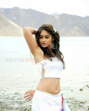 Ileana Spicy Stills