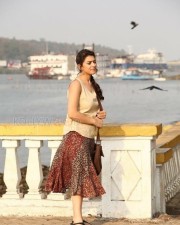 Mande Suryudu Movie Heroine Hansika Motwani Stills