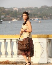 Mande Suryudu Movie Heroine Hansika Motwani Stills