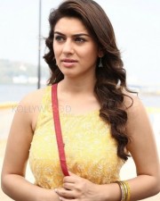 Mande Suryudu Movie Heroine Hansika Motwani Stills