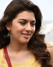 Mande Suryudu Movie Heroine Hansika Motwani Stills