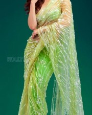 Mouni Roy in a Lemony Green Transparent Saree Photos 03