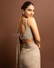 Raid 2 Actress Vaani Kapoor Sexy Saree Photos 01