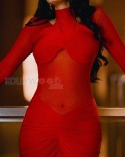 Sensual Sonal Chauhan in a Transparent Red Dress Photos 03