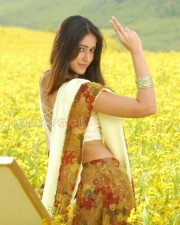 Sexy Actress Ileana Stills