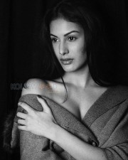 Sexy Amyra Dastur Photos