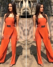 Sexy Amyra Dastur Photos