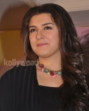 Sexy Hansika Oru Kal Oru Kannadi Movie Press Meet Photos