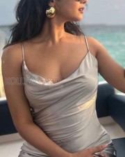 Sexy Sonal Chauhan in a Silver Maxi Dress Pictures 01