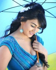 South Indian Actress Hansika Motwani Cleavage Photo