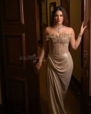 Stunning Amyra Dastur in a Designer Dress Pictures 01