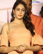 Actress Lavanya Tripathi At Arjun Suravaram Movie Success Meet Photos