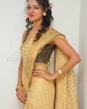 Actress Shanvi In Saree Photoshoot Pictures