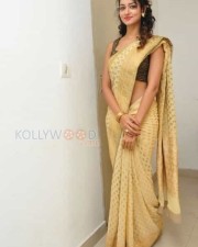 Actress Shanvi In Saree Photoshoot Pictures