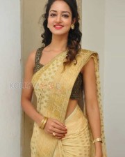 Actress Shanvi In Saree Photoshoot Pictures