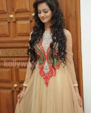 Beautiful Actress Shanvi Pictures