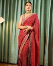 Beauty Mrunal Thakur in a Printed Embroidery Work In Lace Georgette Saree Photos 03