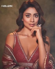 Bold Shriya Saran Cleavage in a Red Saree with a Matching Sleeveless Blouse Pictures 02