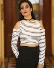 Darsakudu Heroine Manjusha Pictures