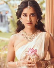 Goddess Beauty Nabha Natesh in a Traditional Saree Sexy Photos 04