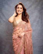 Gorgeous Pragya Jaiswal in a Pink Net Saree at Daaku Maharaaj Success Press Meet Photos 01