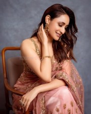 Gorgeous Pragya Jaiswal in a Pink Net Saree at Daaku Maharaaj Success Press Meet Photos 02