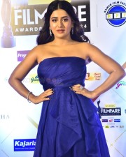 Heroine Rashi Singh at 69th SOBHA Filmfare Awards South 2024 Photos 08