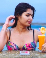 Kolaikaaran Heroine Ashima Narwal Photos