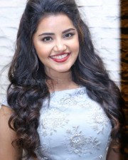 Malayalam Actress Anupama Parameswaran New Pictures