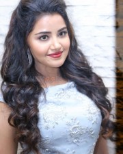 Malayalam Actress Anupama Parameswaran New Pictures