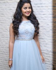 Malayalam Actress Anupama Parameswaran New Pictures