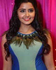 Mallu Actress Anupama Parameswaran Pics