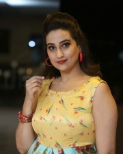 Manjusha At Rdx Love Pre release Event Pictures