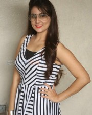 Manjusha At Rojulu Marayi Platinum Function Photos