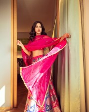 Mesmerizing Nabha Natesh in a Traditional Pink Ethnic Lehenga Photos 02