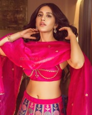 Mesmerizing Nabha Natesh in a Traditional Pink Ethnic Lehenga Photos 08