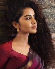 Pet Detective Actress Anupama Parameswaran in a Blue and Red Cotton Saree with a Red Blouse Photos 06