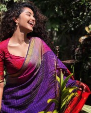 Pet Detective Actress Anupama Parameswaran in a Blue and Red Cotton Saree with a Red Blouse Photos 07