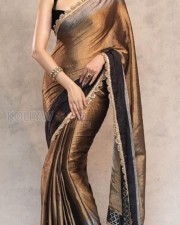 Radiating Beauty Pragya Jaiswal in a Glam Saree Photoshoot Pictures 01