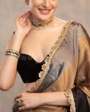 Radiating Beauty Pragya Jaiswal in a Glam Saree Photoshoot Pictures 04