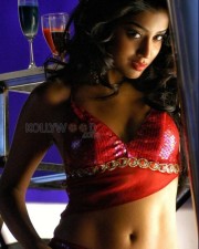 Ravishing Hot Shriya Saran Sexy Pictures 05