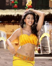 Ravishing Hot Shriya Saran Sexy Pictures 06